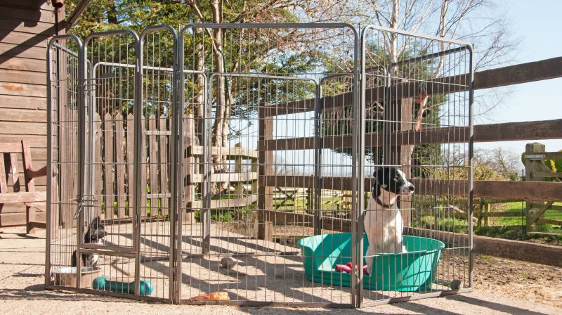 Electric Dog Fence Installation