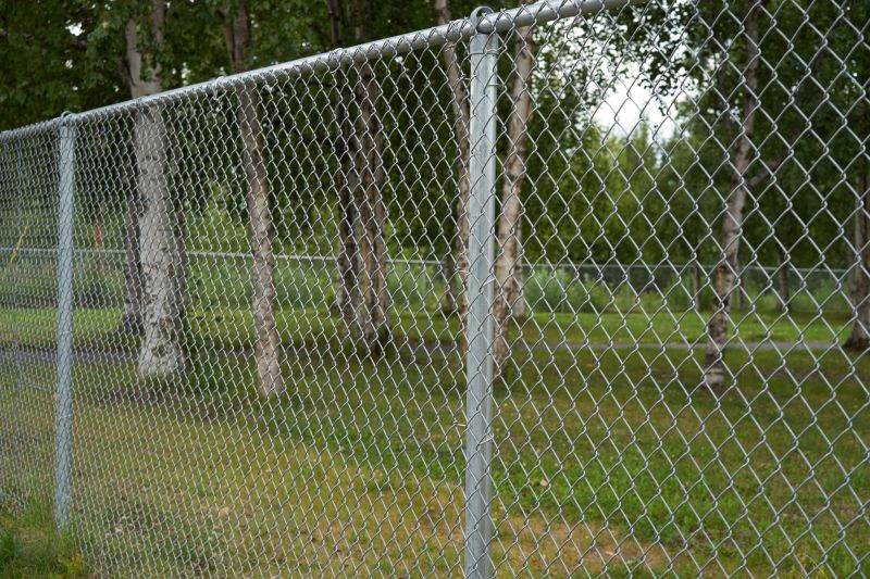Restored Chain Link Fence